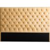 Tufted Velvet Tan Headboard